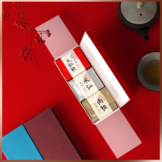 茶叶纸盒定制岩茶大红袍伴手礼三泡装通用简易装茶叶包装盒空礼盒 商品图0