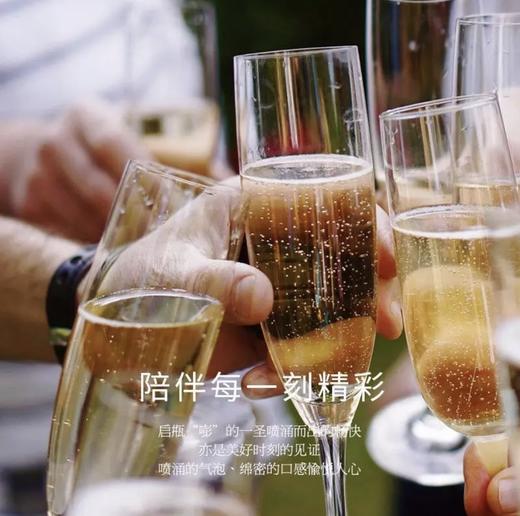 【传统香槟法】菲特瓦香波特起泡酒 法国原瓶进口 11.5%vol 商品图3