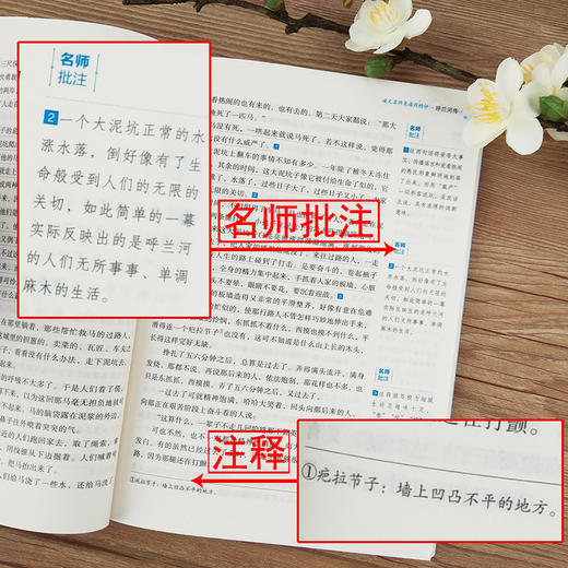 语文名师吴海燕精评 呼兰河传 商品图2