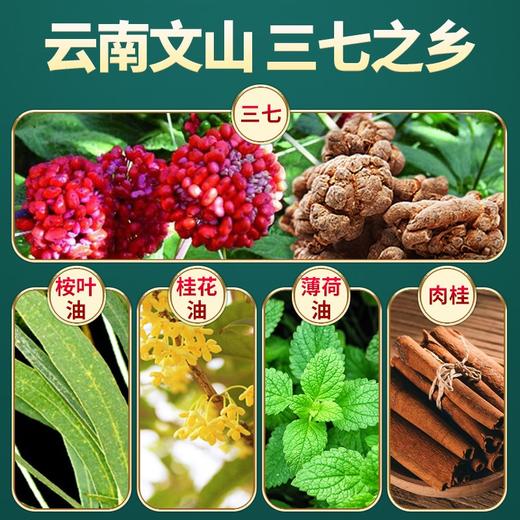 百年扁氏三七贴 商品图2