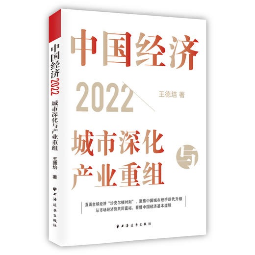 中国经济2022：城市深化与产业重组 商品图0