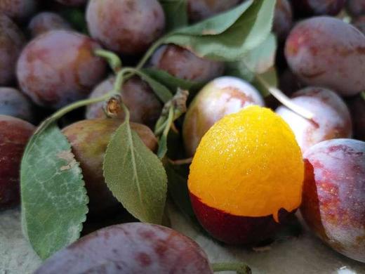 新疆喀什法兰西西梅家庭装/礼盒装 商品图1