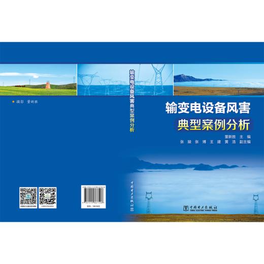 输变电设备风害典型案例分析 商品图2