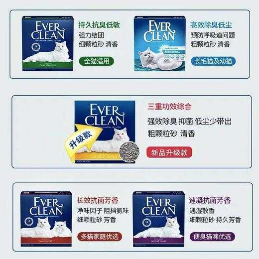 猫砂中的爱马仕 | 铂钻EverClean猫砂美国原装进口25磅 商品图3