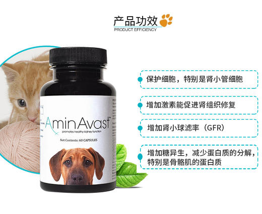 美国AminAvast犬猫肾衰停 商品图3