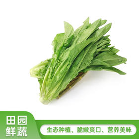 油麦菜 400g