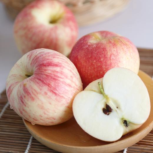 【新鲜水果】嘎啦苹果 早苹果3斤装  商品图1