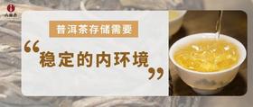  【普洱课堂】第3期：学会这三个方法，你存的普洱茶才能越陈越好！ 