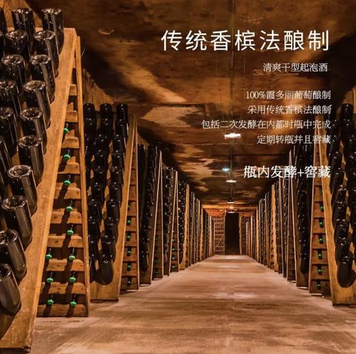 【传统香槟法】菲特瓦香波特起泡酒 法国原瓶进口 11.5%vol 商品图2