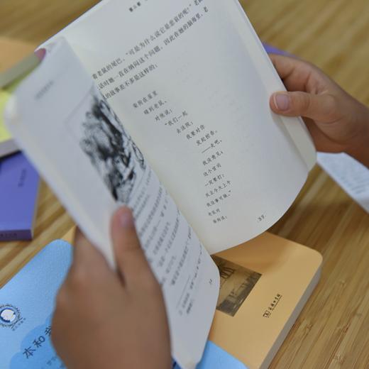 五个孩子和沙地精(英汉对照)(爱农译童书)(全两册) 商品图3