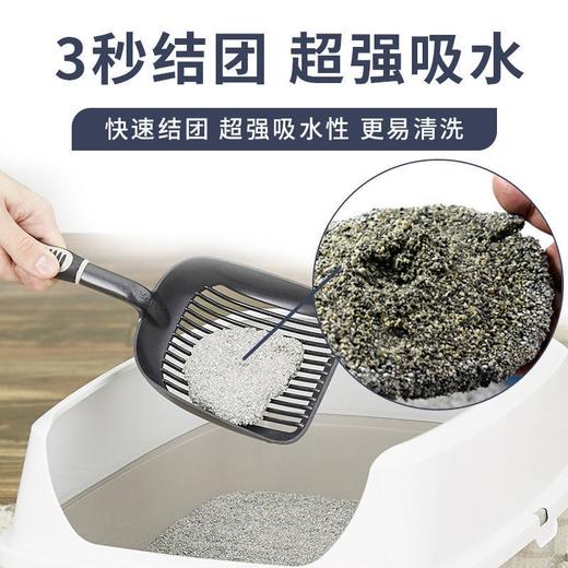 猫砂中的爱马仕 | 铂钻EverClean猫砂美国原装进口25磅 商品图4