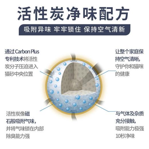 猫砂中的爱马仕 | 铂钻EverClean猫砂美国原装进口25磅 商品图5