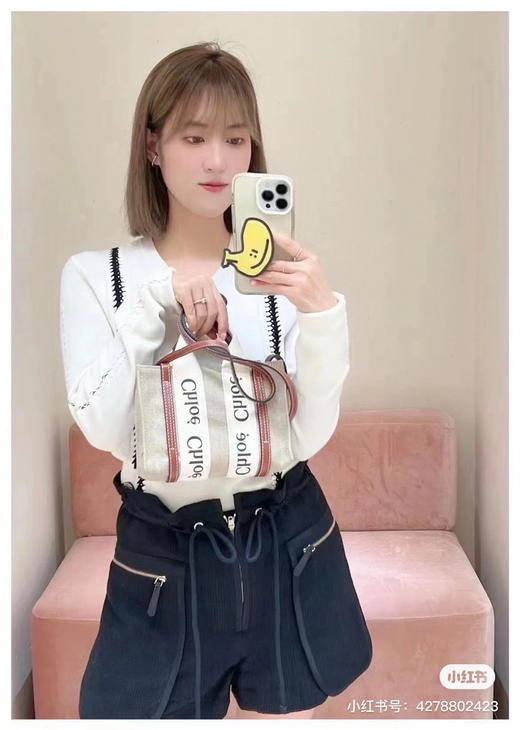 Chloe.woody mini托特-棕色 商品图1