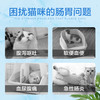 克痢肽猫益生菌消化止泻猫咪软便拉肚子呕吐肠胃调理犬拉稀安痢肽 商品缩略图1
