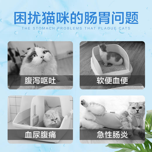 克痢肽猫益生菌消化止泻猫咪软便拉肚子呕吐肠胃调理犬拉稀安痢肽 商品图1