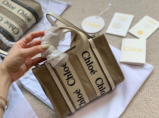 Chloe.woody mini托特 -白色 商品图3