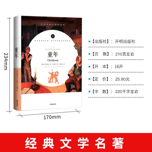 语文名师汪晓风精评 童年 商品图1