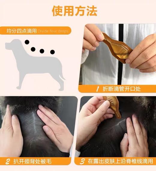 法国德美丝黄金点滴剂宠物皮肤病真菌掉毛狗狗皮肤修复10-20kg犬用 商品图2