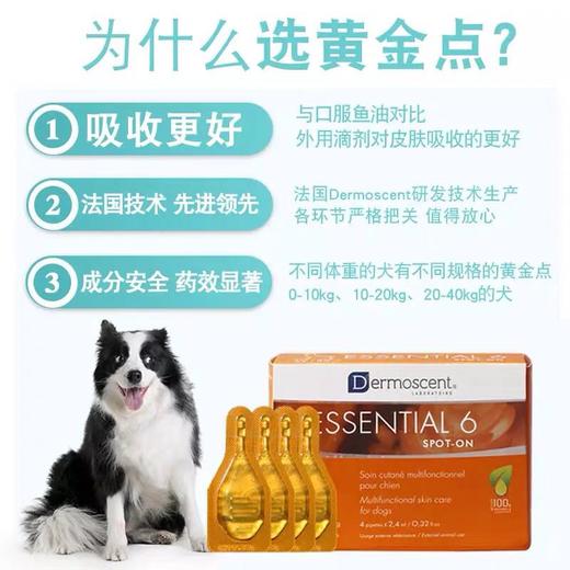 德美丝黄金点法国原装狗狗皮屑真菌掉毛皮肤病滴剂犬用10kg以下 商品图0