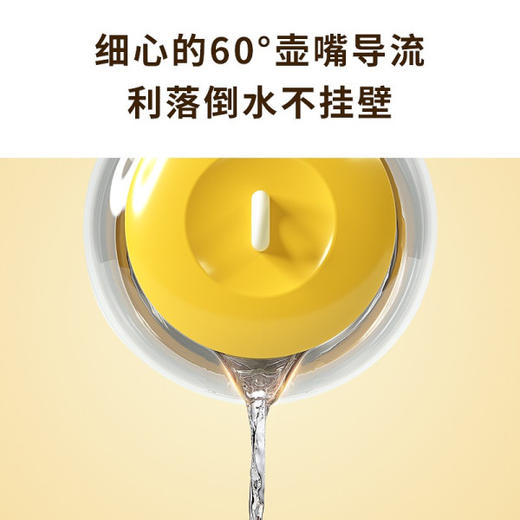 美菱 高硼硅玻璃电热水壶 商品图1