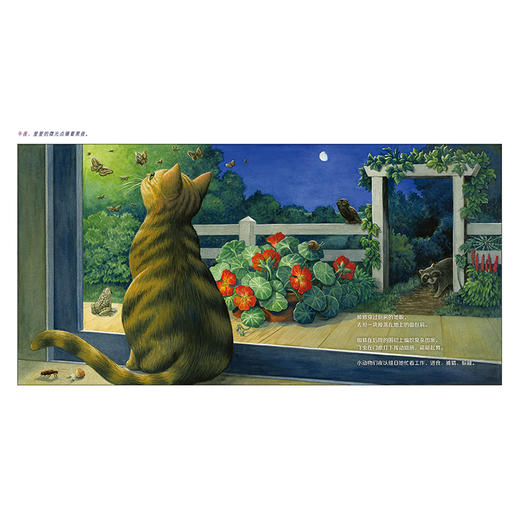 世界永不眠：带孩子了解昆虫的隐秘生活发现它们的美 商品图3