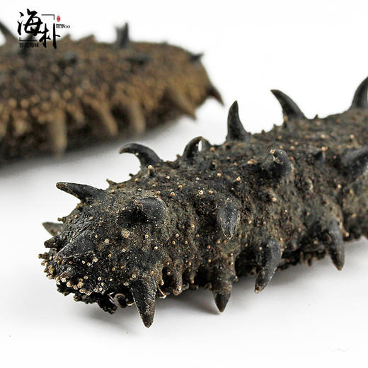 【包邮】海朴藏珑200克礼盒（干海参） 商品图4