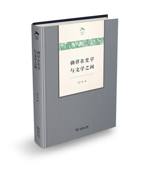 徜徉在史学与文学之间(光启文库) 商品图0