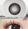 （半年抛）Lilyanna 闪烁黑 14.5mm 着色14.0mm 商品缩略图5