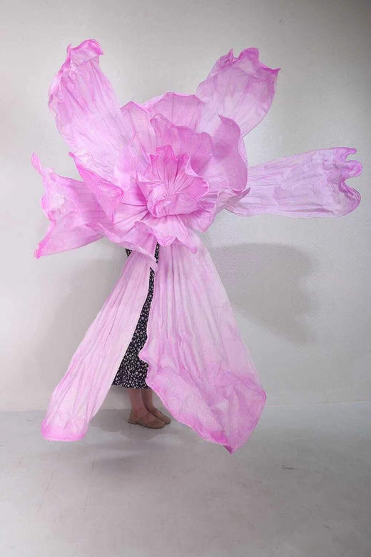 化蝶（运费自理） 商品图5