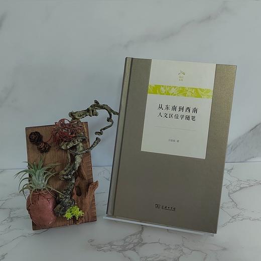 从东南到西南——人文区位学随笔（光启文库） 商品图2