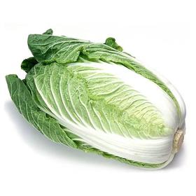 高山大白菜 1kg