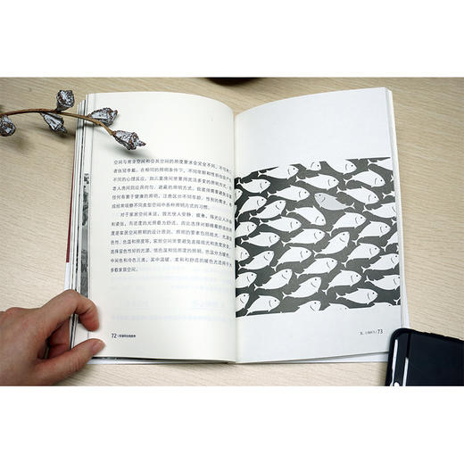 (仓发) 软装师自我修养/江苏凤凰科学技术出版社/吴天篪（TC吴）/9787553793030 商品图4