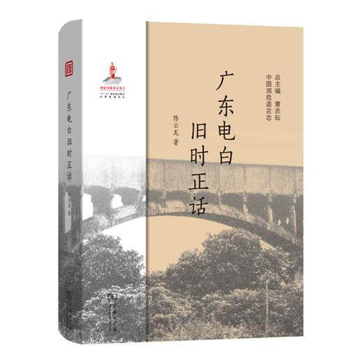 广东电白旧时正话（中国濒危语言志） 商品图0