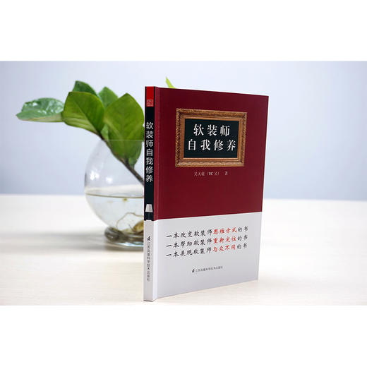 (仓发) 软装师自我修养/江苏凤凰科学技术出版社/吴天篪（TC吴）/9787553793030 商品图3