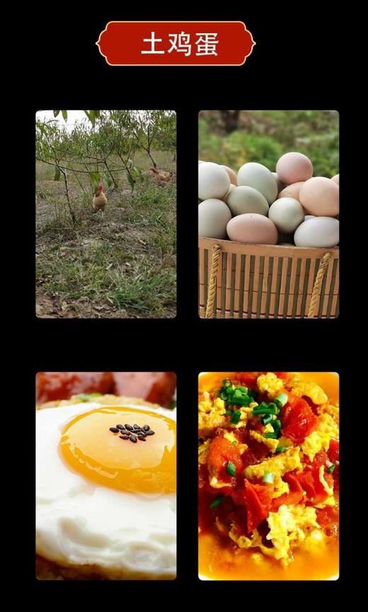 HG土鸡蛋（仅限湖北省内） 商品图5