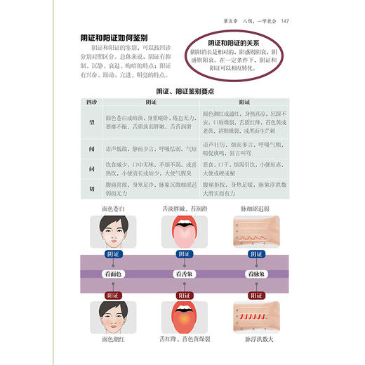 一气呵成学中医诊断（汉竹） 商品图8