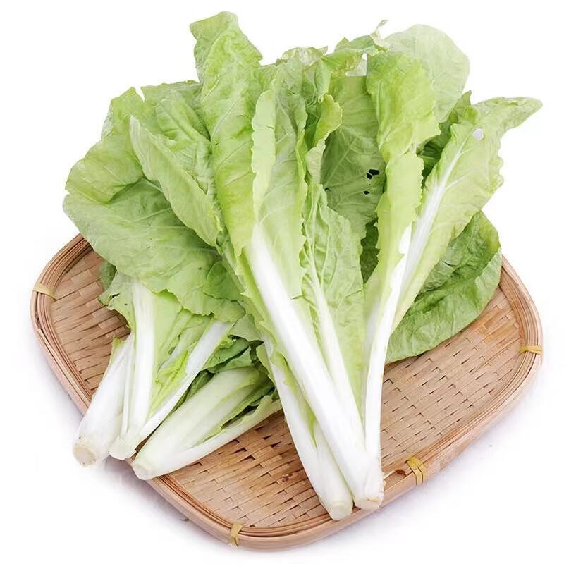 高山杭白菜苗（300g）