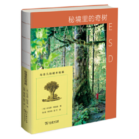 秘境里的奇树