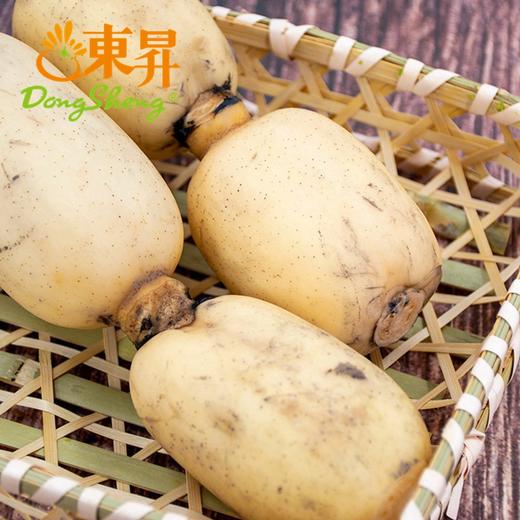 东升农场 新垦莲藕 新鲜时令食材 4斤 包邮 商品图5