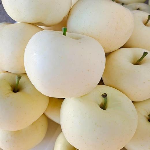 台湾白苹果 商品图0