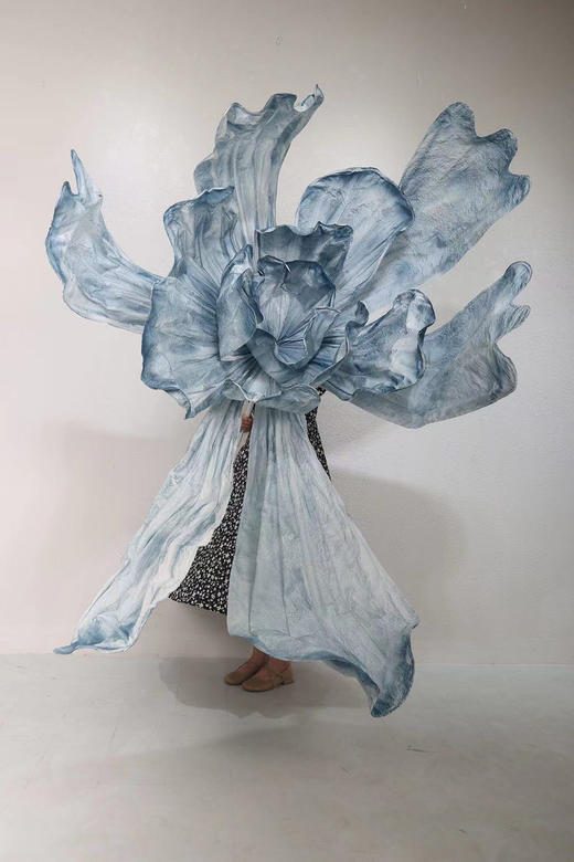 化蝶（运费自理） 商品图6