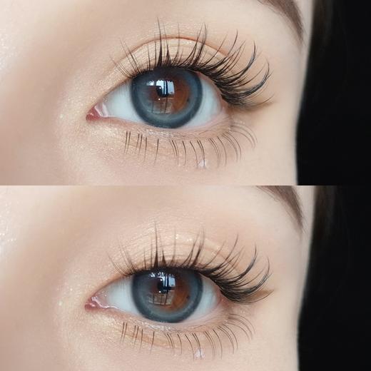 Kaylens日抛新品-百事可爱10p/盒 商品图5