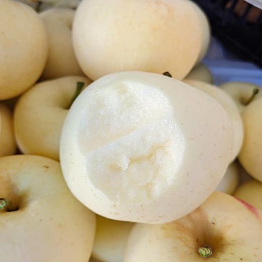 台湾白苹果 商品图2