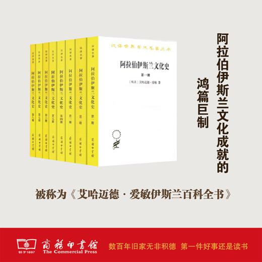 阿拉伯伊斯兰文化史(全8册)（汉译世界学术名著丛书） 商品图0