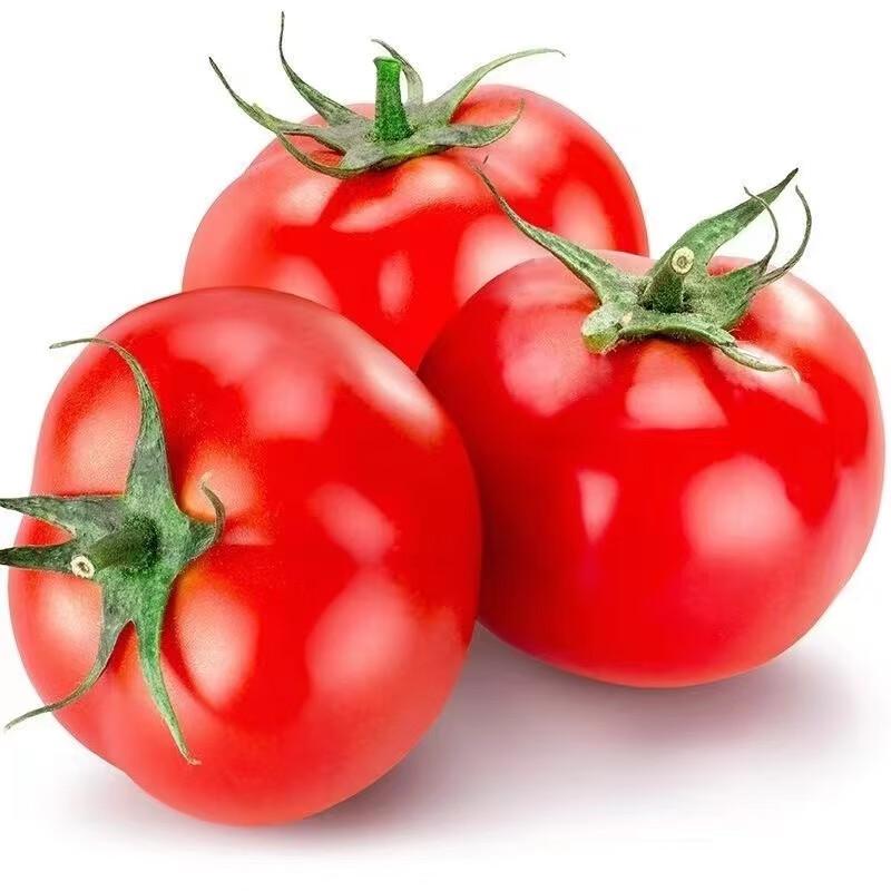 高山粉色大番茄（450g）