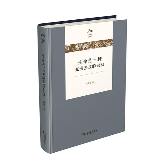 生命是一种充满强度的运动（光启文库） 商品图0