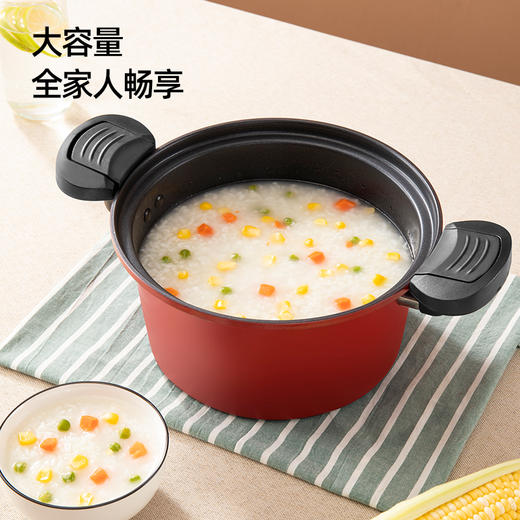 【龙的 汤锅微压不粘炖汤锅】低压力煲汤锅燃气电陶炉通用LD-TM530  真空微压 精铁打造 一体成型 多种炉灶 安全泄压 商品图3