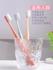超细软毛牙刷   3支/盒 商品缩略图3