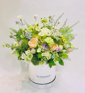 “薄荷糖”银色抱抱桶