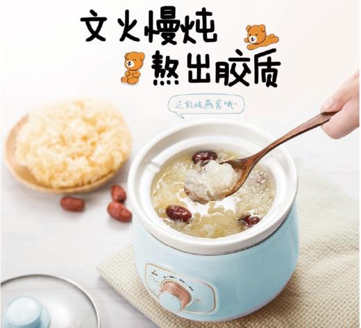 【团购展示】小熊电炖锅DDG-D20Z6 商品图0